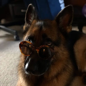 Meet your Posher, Evan